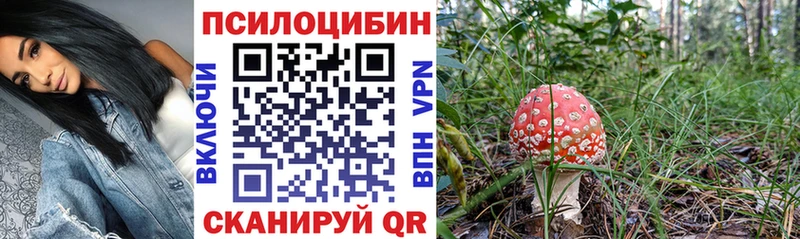 Купить где Истра Галлюциногенные грибы прущие грибы